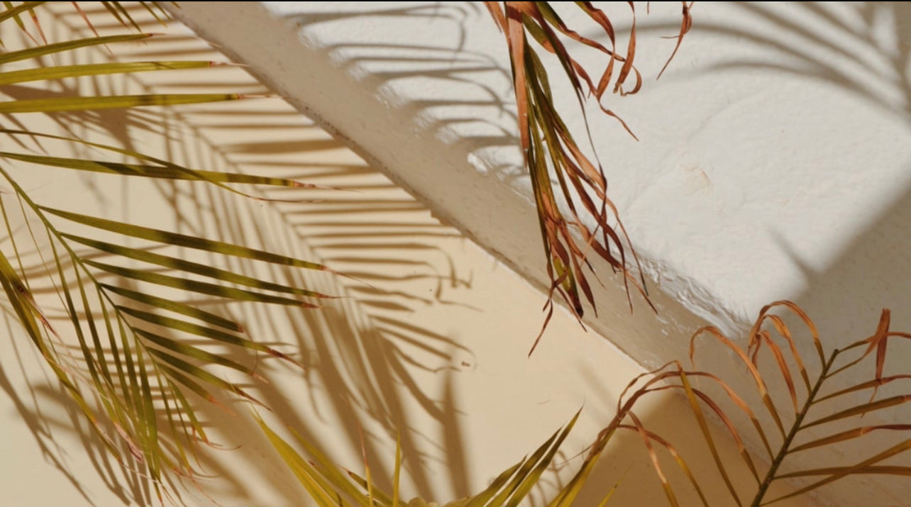 Sun Care & SPF