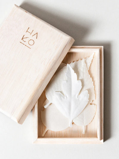Paper Incense